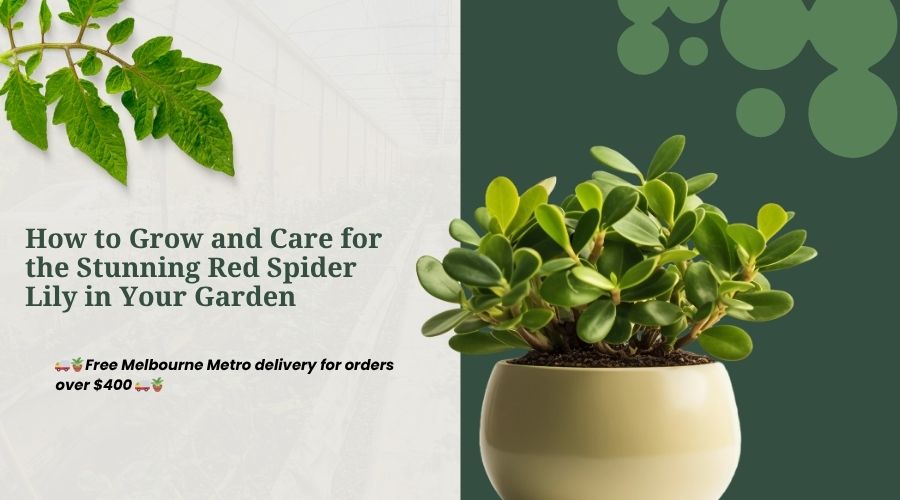 large metal plant pot Glade Green Tall Metal Planters Handmade & Lightweight, Outdoor with  Drainage
