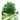 Explore the Splendorous Varieties of Acer Trees