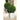 Growing Plants in Pots and Containers