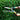 Pruning in the Garden