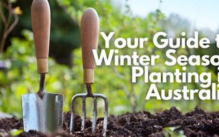 Your Guide to Winter Season Planting in Australia