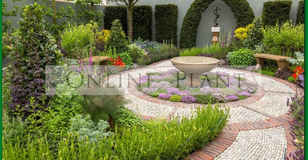 Declutter Garden 7 Tips to Declutter Your Garden