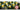 Online Plants Nursery – The Best Destination To Buy Plants Online
