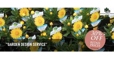 Online Plants Nursery – The Best Destination To Buy Plants Online