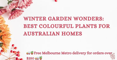 Winter Garden Wonders: Best Colourful Plants for Australian Homes