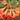 Rhododendron, Medusa