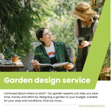 Garden Consultation