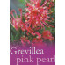 Grevillea Pink Pearl