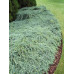 Juniperus Blue Carpet
